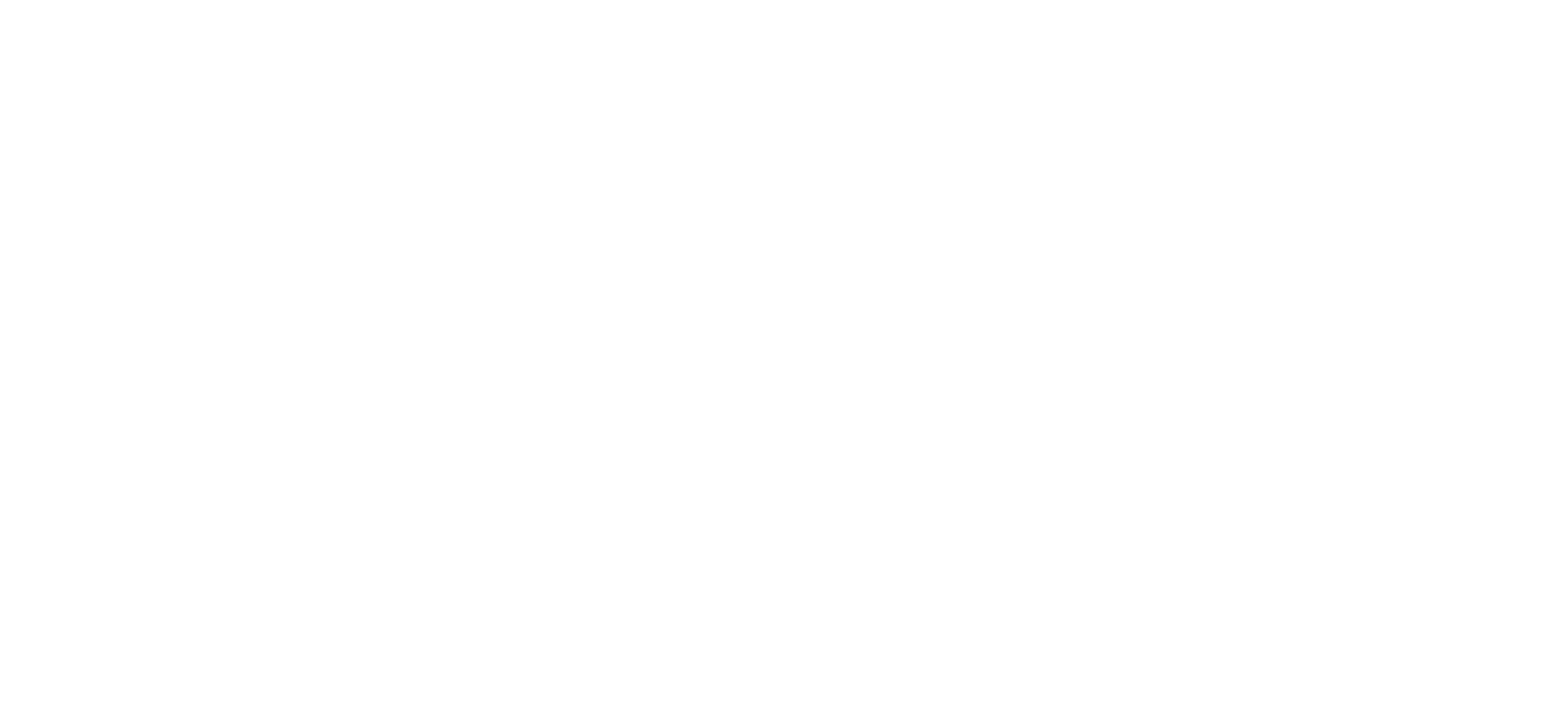 logo-transparent-weiss